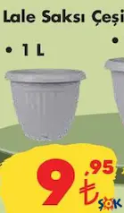 LALE SAKSI ÇEŞİTLERİ 1 L